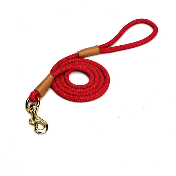 Lightweight Leash for Puppies - Image 4