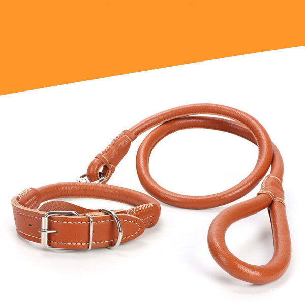 Leather Collar for Pets - Image 5