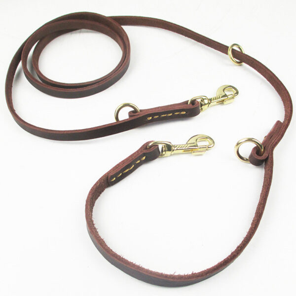 Multifunctional Dog Leash with Hooks - Image 4