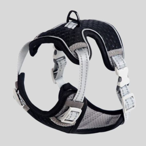 Pet Chest Strap for Safe Outings