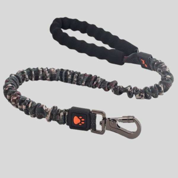 Elastic Leash Large Dog Pets