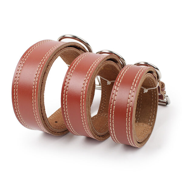 Premium Dog Leather Traction Collar - Image 3