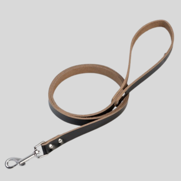 Stylish Leather Dog Chain Leash