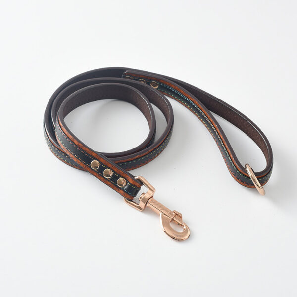 Durable Leather Dog Leash & Collar Set - Image 8