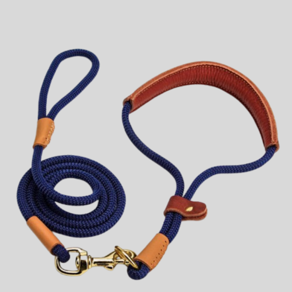 Lightweight Leash for Puppies