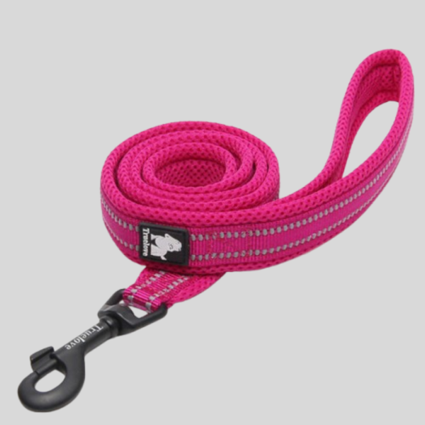 Strong & Durable Leash for Dogs