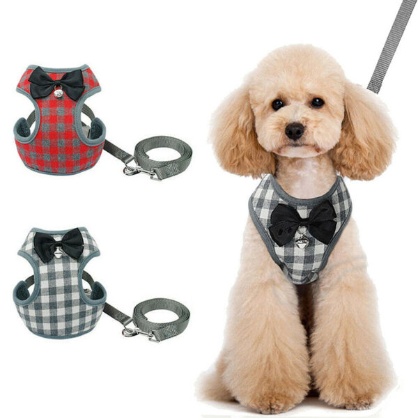 High-Quality Dog Leash and Harness for Comfort - Image 2