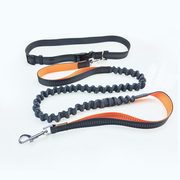 Pull Dog Leash for Running Pets - Image 3