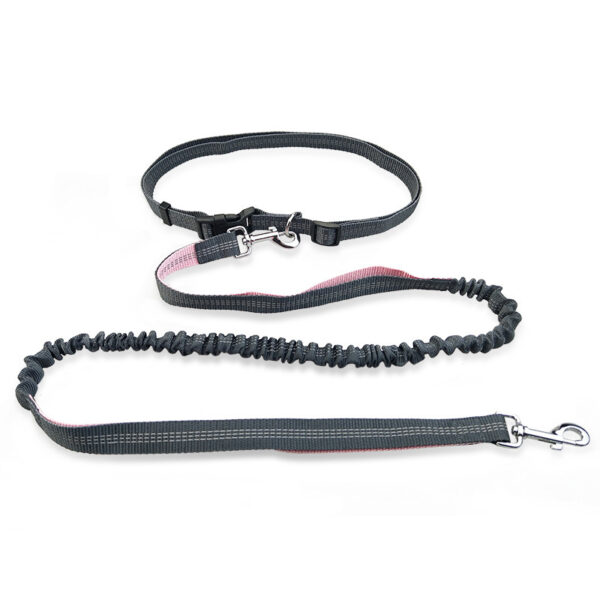 Pull Dog Leash for Running Pets - Image 4