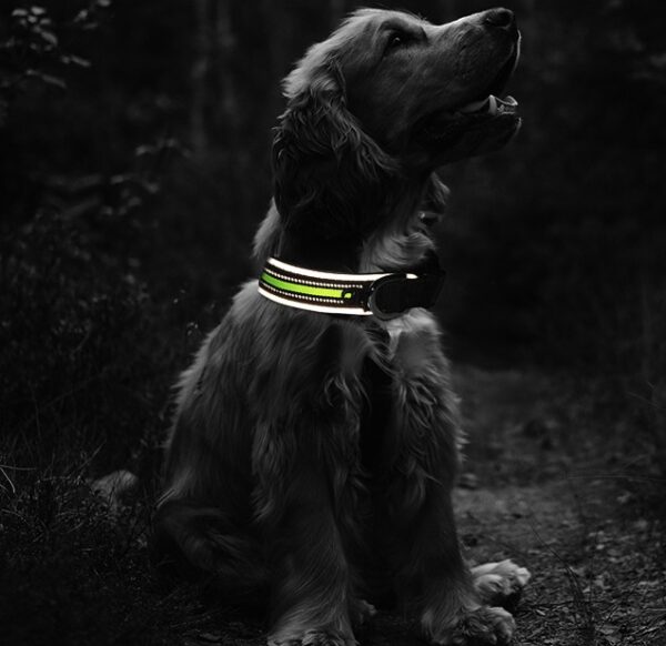 Comfortable Luminous Pet Collars - Image 3