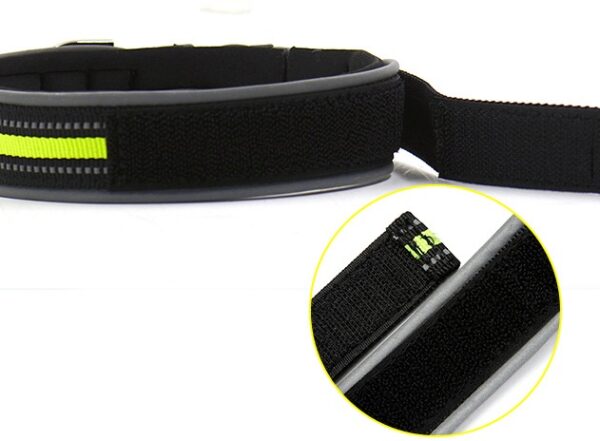 Comfortable Luminous Pet Collars - Image 5