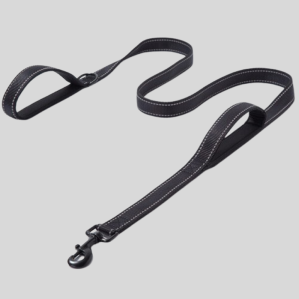 Double Thick Reflective Dog Leash