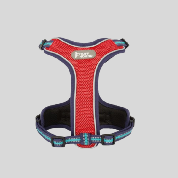 Comfortable Dog Harness & Leash Set