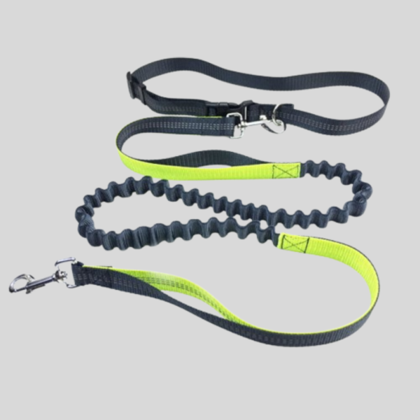 Pull Dog Leash for Running Pets