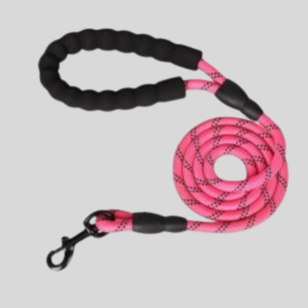 Reflective Dog Leash for Safe Walks