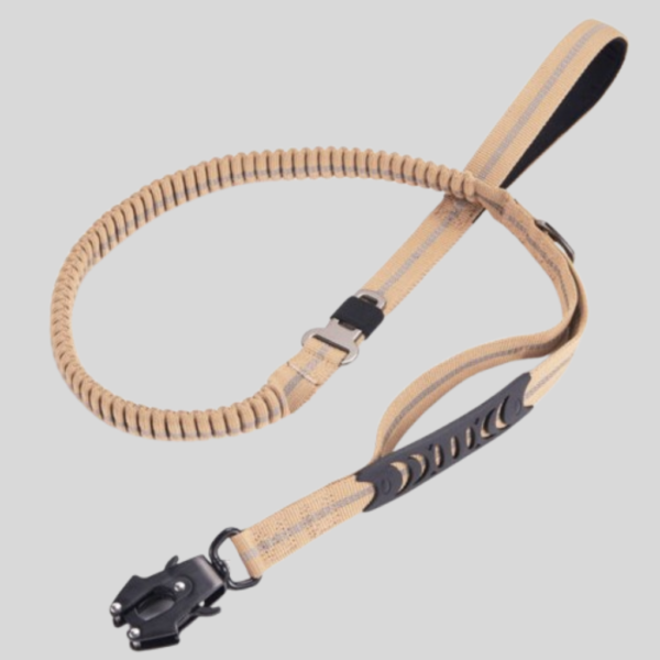 Explosion-Proof Dog Leash for Safety