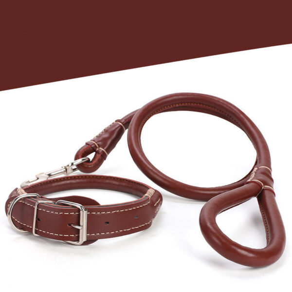 Leather Collar for Pets - Image 2