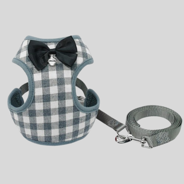 High-Quality Dog Leash and Harness for Comfort