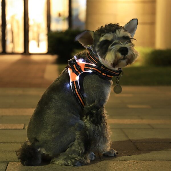 Glowing Dog Collar for Safety at Night - Image 5