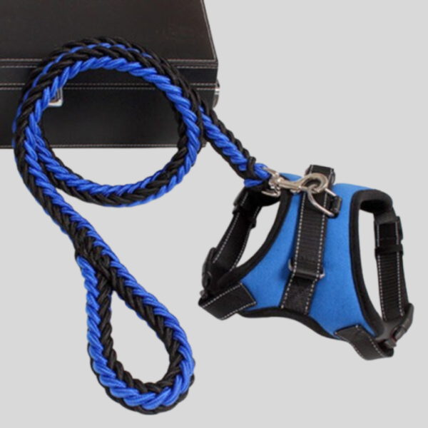 Dog Leash with Adjustable Chest Strap