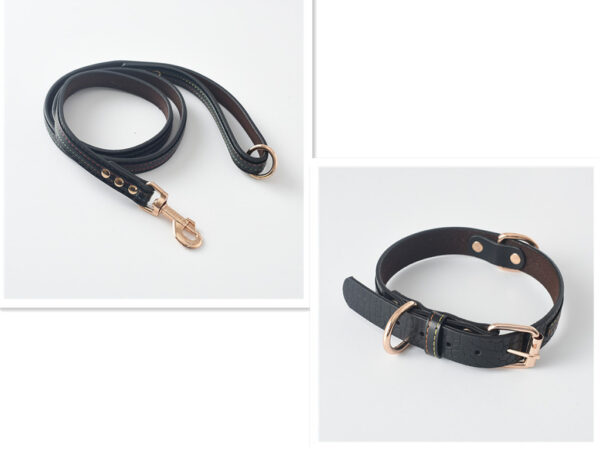 Durable Leather Dog Leash & Collar Set - Image 6