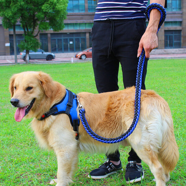 Dog Leash with Adjustable Chest Strap - Image 2