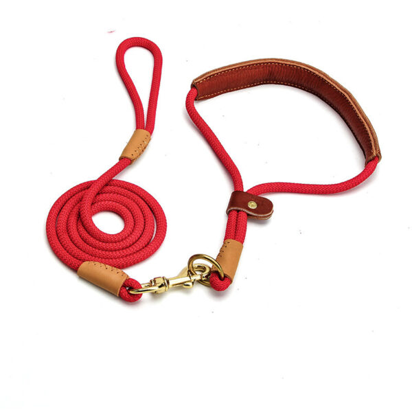 Lightweight Leash for Puppies - Image 5