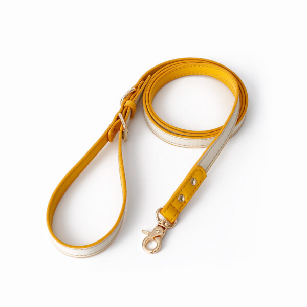 Multifunctional Leather Dog Leash - Image 4