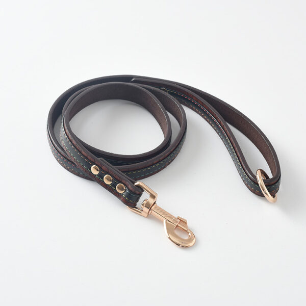 Durable Leather Dog Leash & Collar Set - Image 4