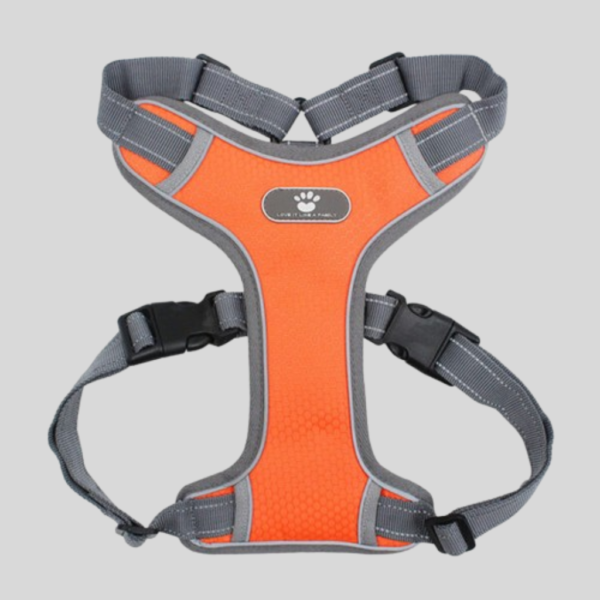 Explosion-Proof Dog Chest Vest