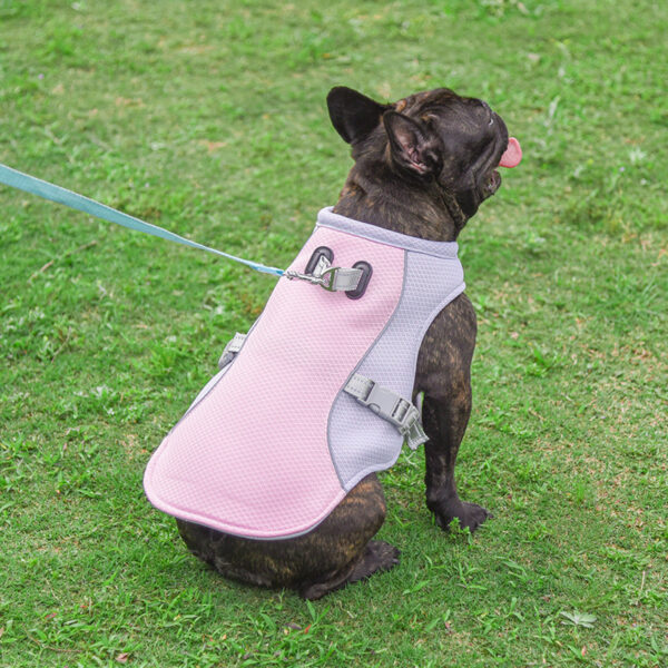 Cooling Vest for Summer Pet Comfort - Image 3