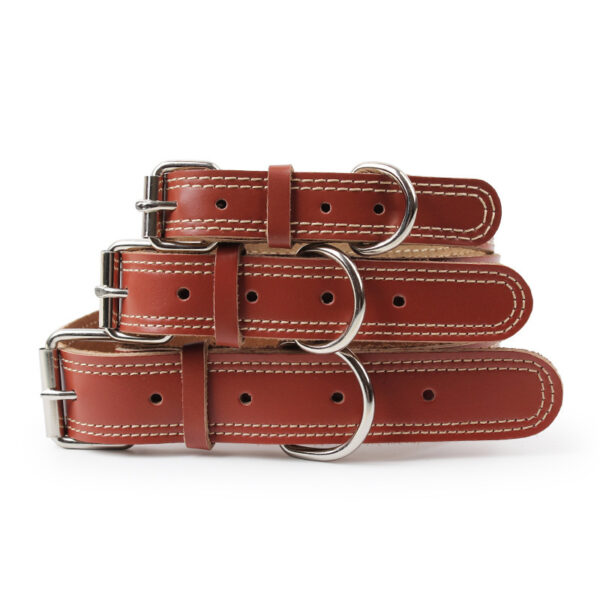 Premium Dog Leather Traction Collar - Image 5