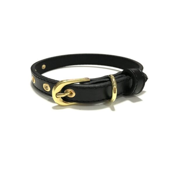 Gold Buckle PU Pet Collar - Image 5