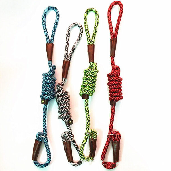 Medium Dog Training Leash - Image 2