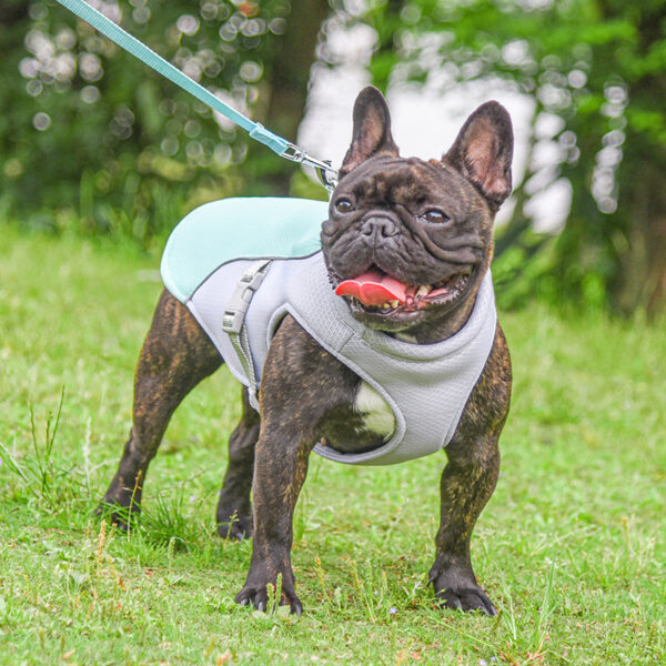 Cooling Vest for Summer Pet Comfort - Image 7