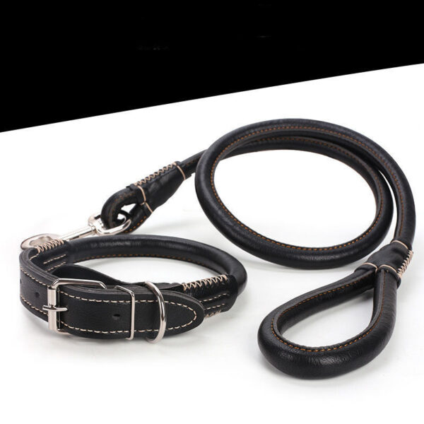 Leather Collar for Pets - Image 7