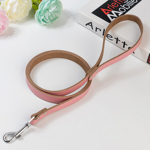 Stylish Leather Dog Chain Leash - Image 5