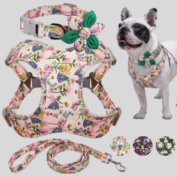 Flower Print Dog Harness & Leash Set