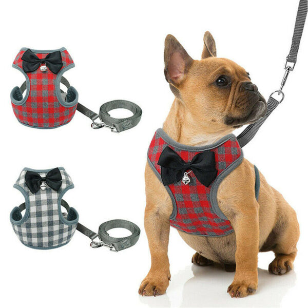 High-Quality Dog Leash and Harness for Comfort - Image 3