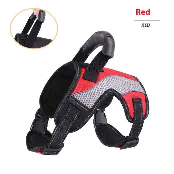 Breathable Harness for Medium Dogs - Image 7