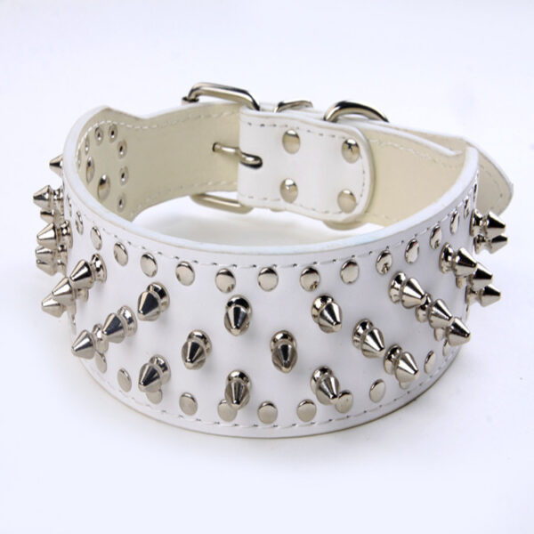 Rivet Collar for Large Dogs | Pet Gear - Image 2