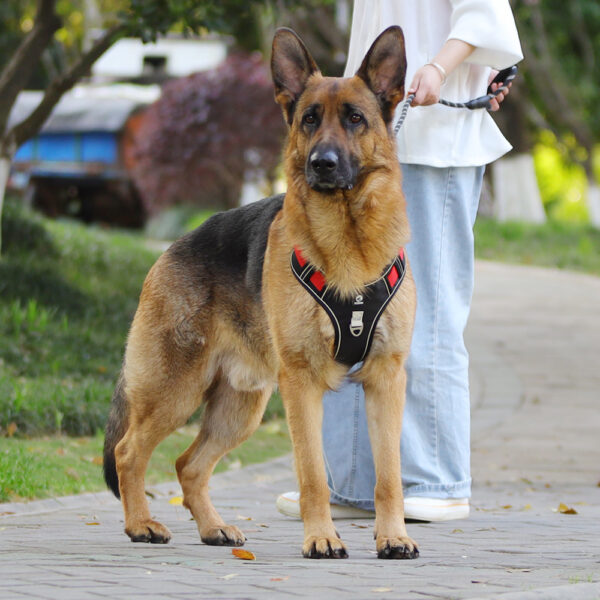 Comfortable Dog Chest Strap Harness - Image 3