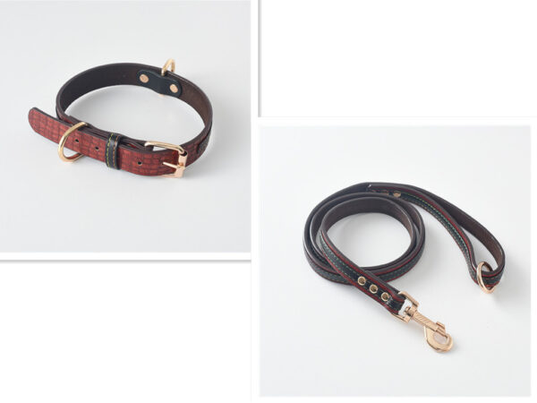 Durable Leather Dog Leash & Collar Set - Image 5