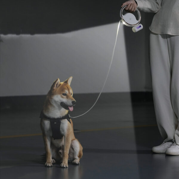 Automatic Lighting Retractable Leash - Image 9