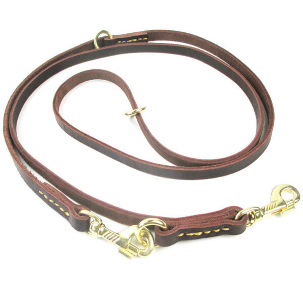 Multifunctional Dog Leash with Hooks - Image 6