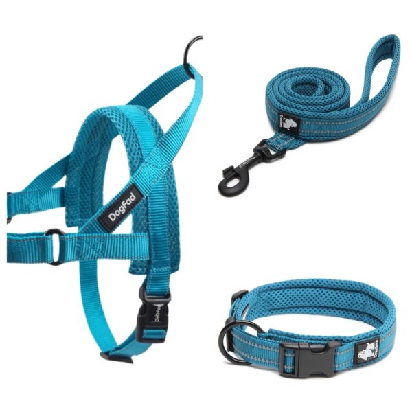 Strong & Durable Leash for Dogs - Image 2