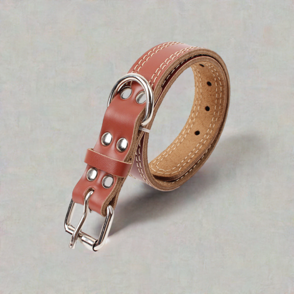 Premium Dog Leather Traction Collar