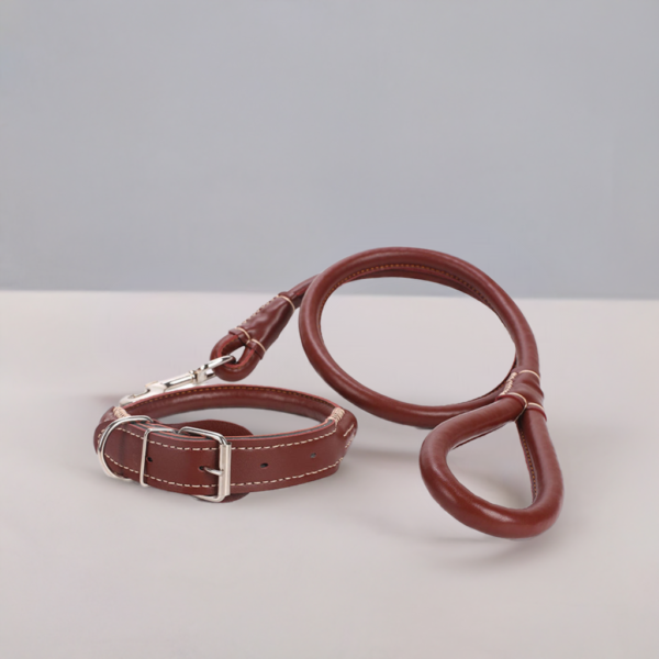 Leather Collar for Pets