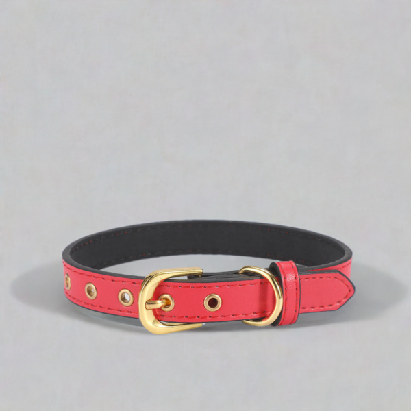 Gold Buckle PU Pet Collar