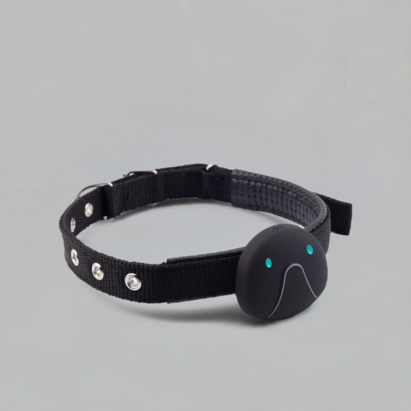 Smart Wearable Pet Locator Collar